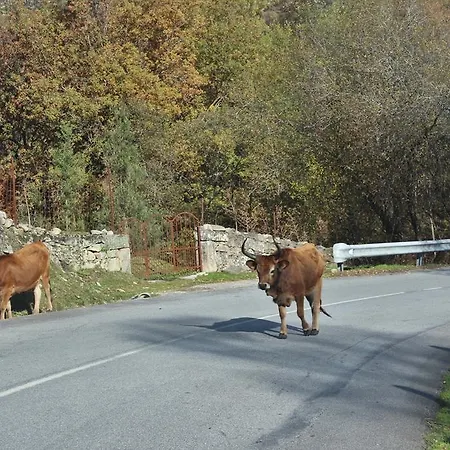 Casa Rautau Casa de Férias *