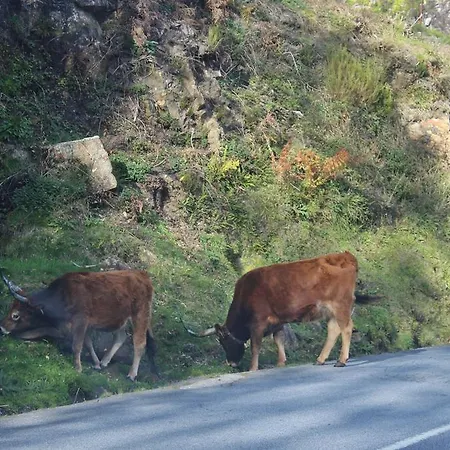 Casa Rautau Casa de Férias
