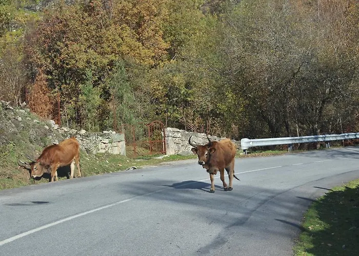 Casa Rautau Casa de Férias *