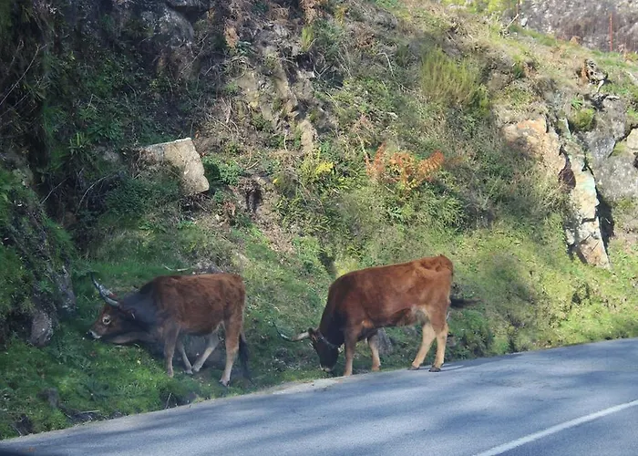 Casa Rautau Casa de Férias